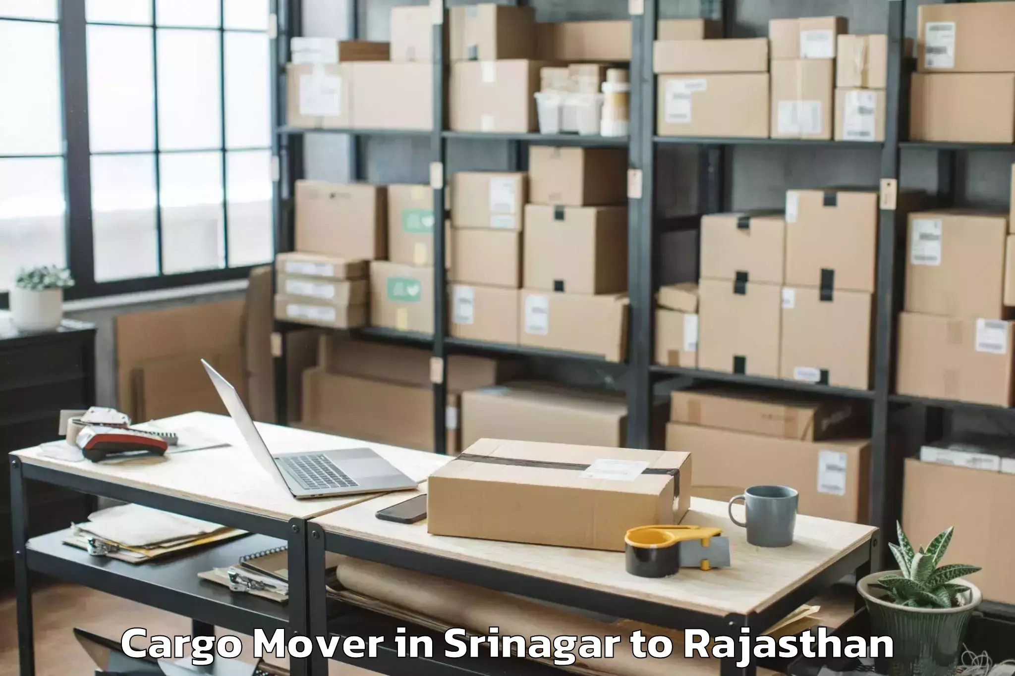 Expert Srinagar to Jagannath University Jaipur Cargo Mover